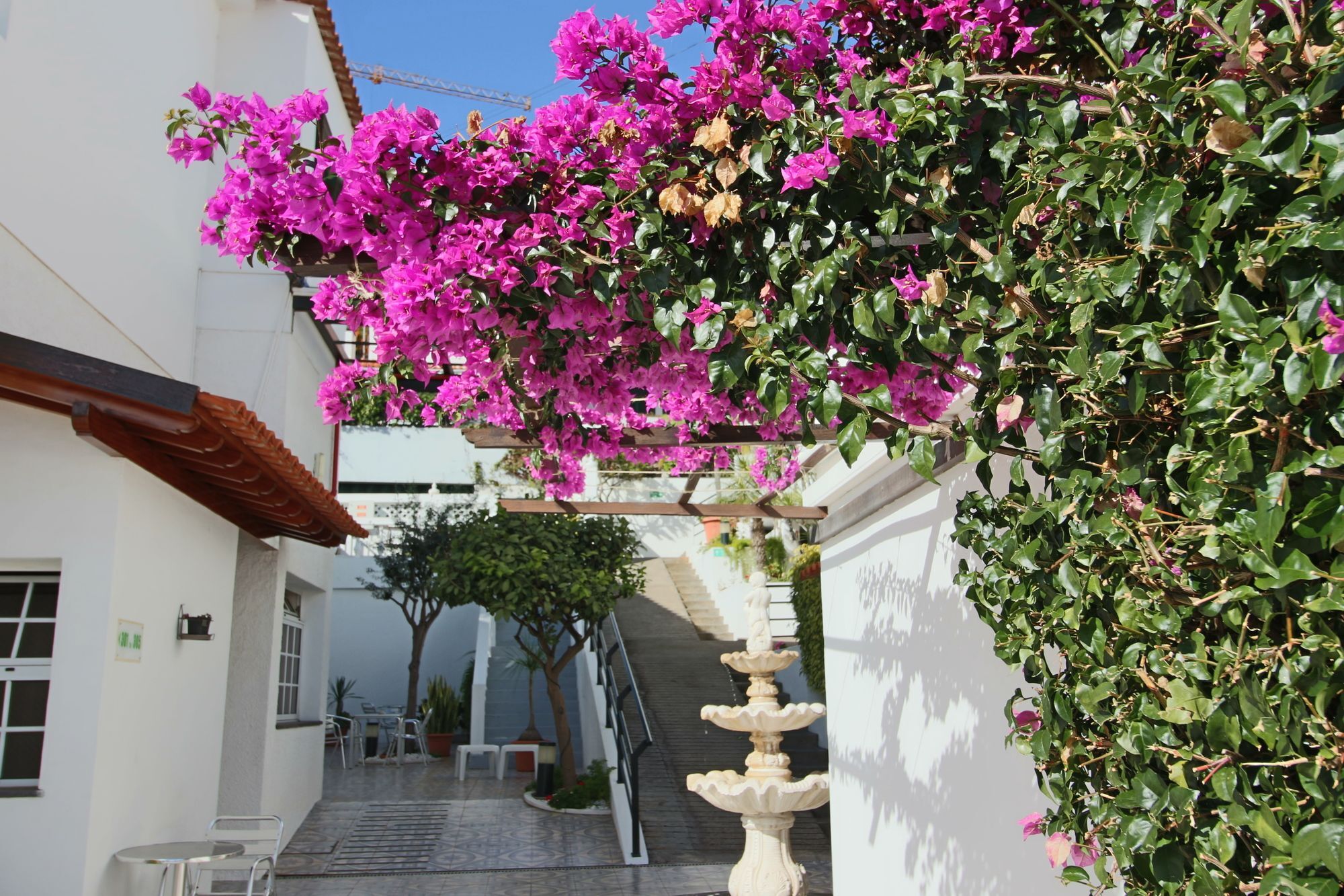 Guesthouse Vila Lusitania Funchal  Kültér fotó