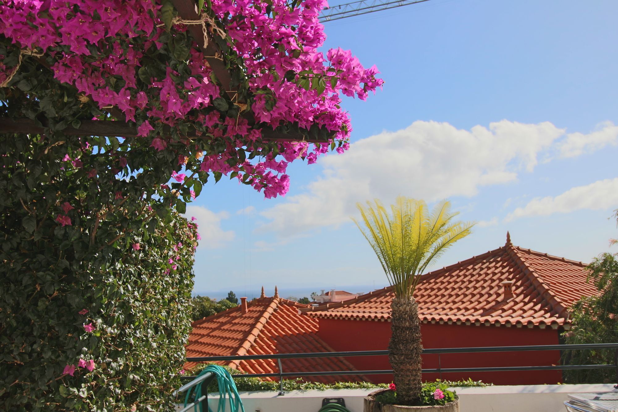 Guesthouse Vila Lusitania Funchal  Kültér fotó